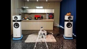 Focal Scala Utopia-EVO #3 (after)