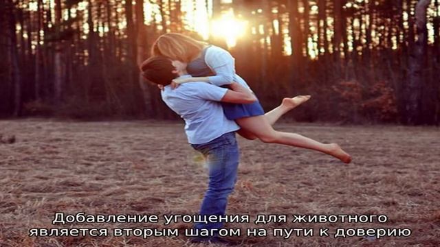 Секреты и правила приручения хомяка