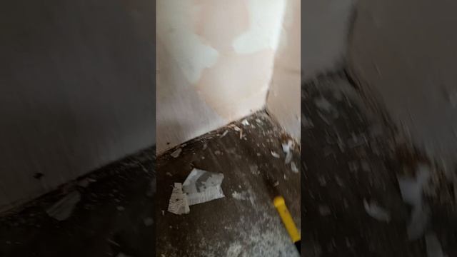 снять старые обои быстро без проблем смотреть онлайн