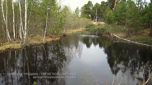Заволжье. п. Октябрьский. Соловьиные трели. Чебоксары. 7 мая 2021