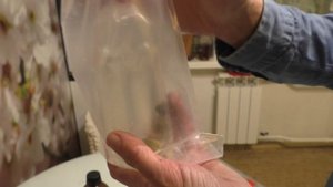 Часть 21 Как перевозить кораллы в сильные морозы