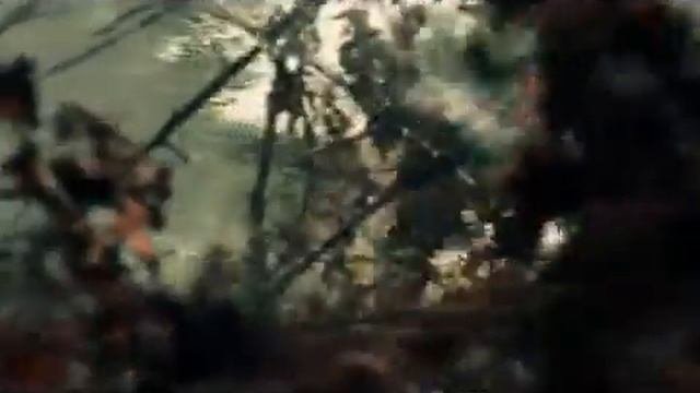О Чеченцах!!!