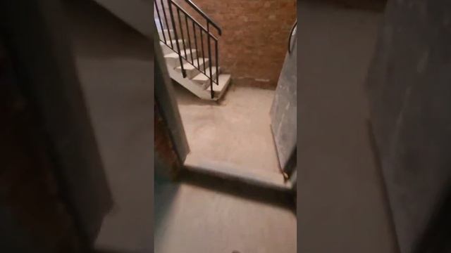 Какой хорошенький!.. Высокий!.. Свободный (-ая) планировка! Подвал для вашего бизнеса. смотреть онлайн