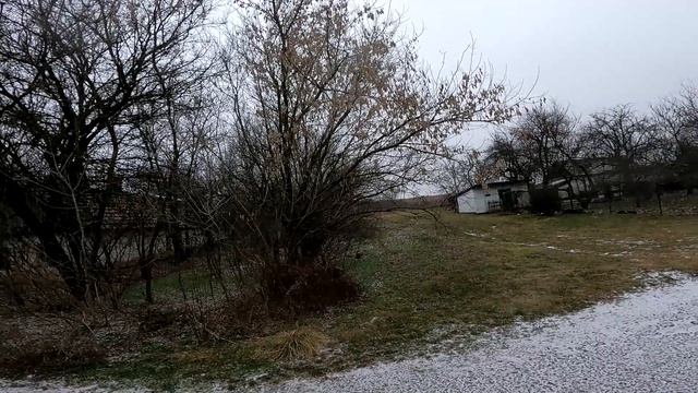 ||ДЕНЬ 674|| Щепорез против депрессии. Пилю ветки. Фильм Чудо.