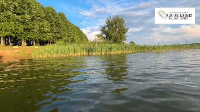 Обзор липовой аллеи на берегу Кольчугинского ( Пекшинского ) Водохранилища. Владимирская область.