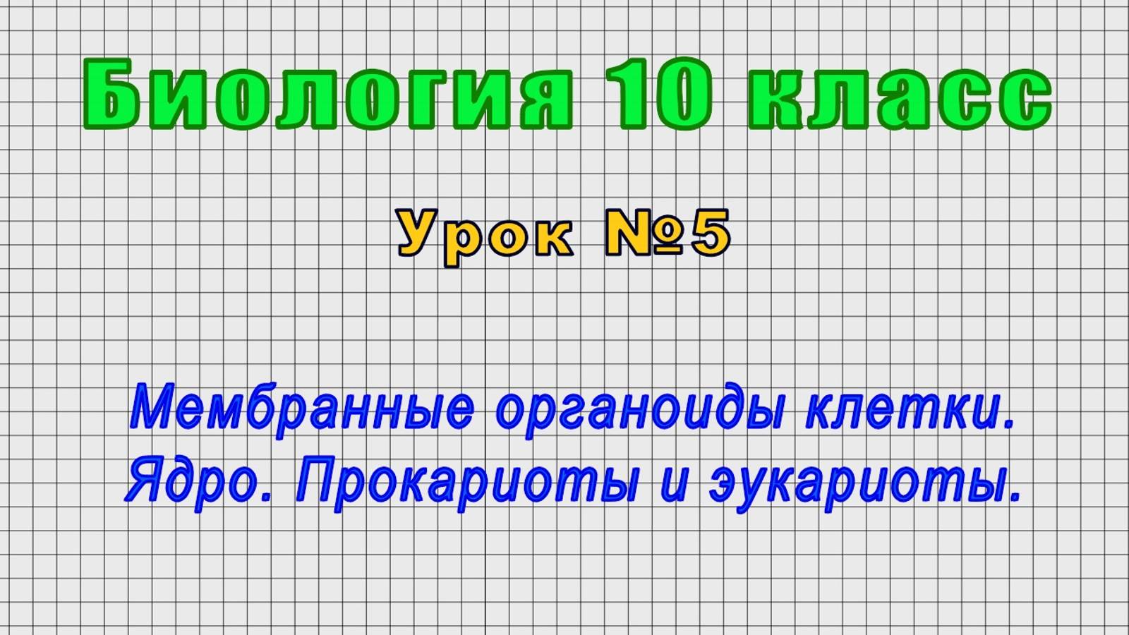 Биология 10 класс (Урок№5 - Мембранные органоиды клетки. Ядро. Прокариоты и эукариоты.)