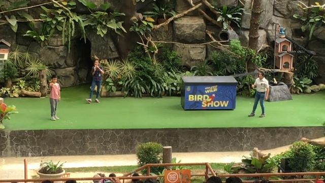 BIRD SHOW AT CEBU SAFARI ADVENTURE PARK
