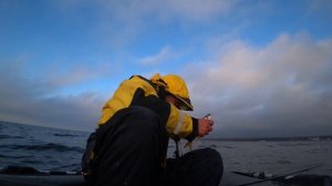 как прикормить окуня