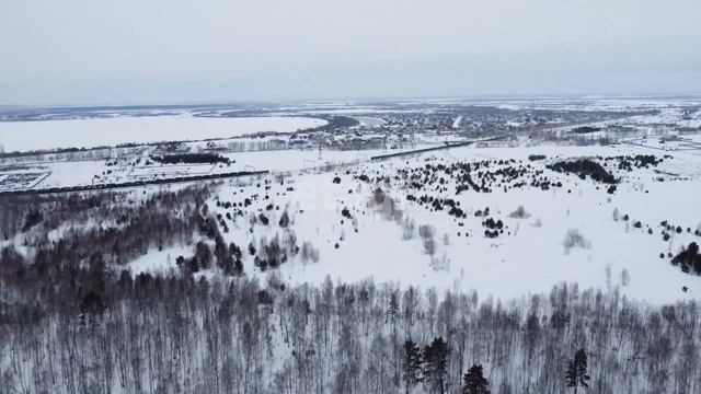 9054503