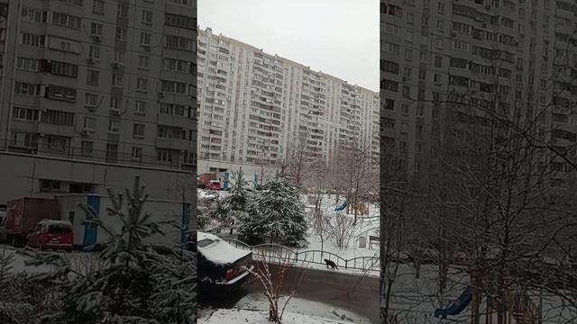 #радости жизни# зима шутит смотреть онлайн