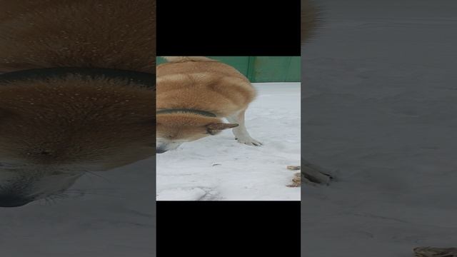 Как он меня ждал