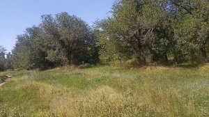 Разговаривая с мужем по телефону, жена неожиданно уловила в трубке еле слышный, но до боли знакомый