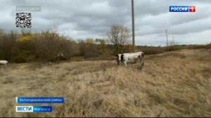 В ЛНР можно получить субсидии на развитие бизнеса