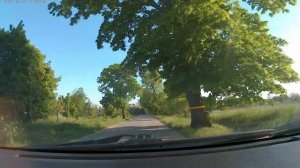 Строительство Приморского кольца в районе посёлка Шатрово Зеленоградского района