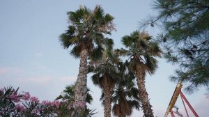 СОЧИ. СИРИУС. 2024. Пляжи! Сочи парк! Обзор и цены! Часть 1.