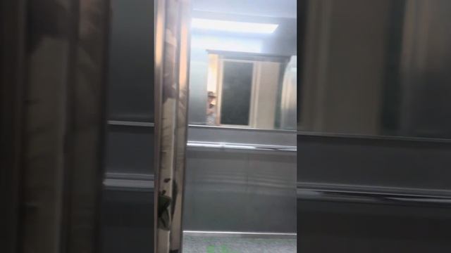 Сдам квартиру в Сочи посуточно