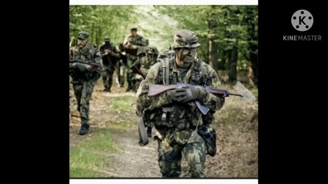 Армия Чехии смотреть онлайн