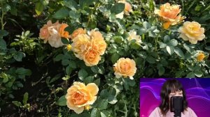 - Дорогая, гони мне 10 миллионов, я дом хочу купить - невестка замерла от наглости свекрови...