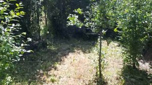 Земельный участок на продажу - Алтайский край город Белокуриха