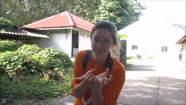 Семья тараканов и морожко мечты | Тайланд влог3