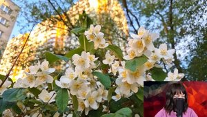 Услышав случайно разговор двух коллег, Ольга оцепенела, поняв, что речь идёт о её муже...