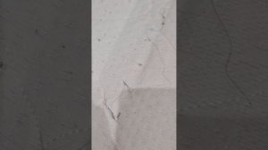 Обзор на отель Вилла Парк 3*. Кисловодск.