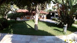 Palmeras Beach 5* Алания - сосед отеля The Garden Beach Hotel 5*. Территория и пляж.