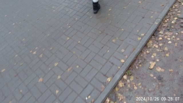 5 верст экопарк 26 октября 2024
