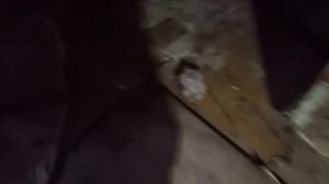 Заброшенные квартиры В Ростове на Дону на улице Гусева 76