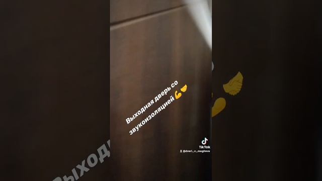 Входная дверь для квартиры с отличной звукоизоляцией, изготовление индивидуально, установка.#входна