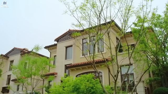 總裁為了小三和黃臉婆妻子離婚不料破產後小三真面目露出總裁後悔了