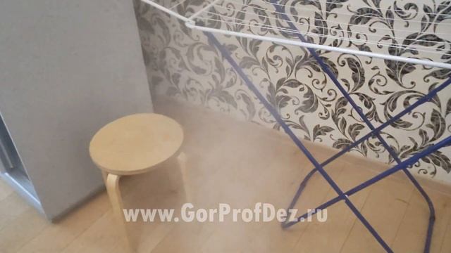 Обработка комнаты в квартире холодным туманом от клопов а СПб смотреть онлайн