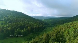 Снятие Порчи Яйцом - Диагностика Порчи Яйцом - Маг Sargas