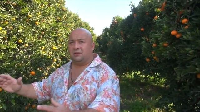 бизнес лагерь "Зима на Кипре" смотреть онлайн