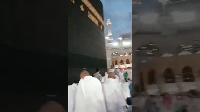 Haj va Umra Safari. Hammamizga nasib qilsin yaqinlar смотреть онлайн