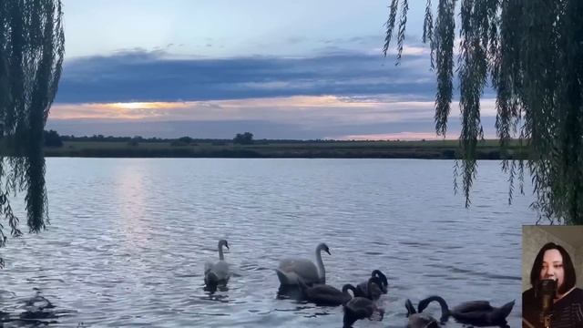 -Ты что,совсем обнаглела?–взревел муж.–Забыла,кто тебя кормит и поит и в чьей квартире ты живёшь? смотреть онлайн