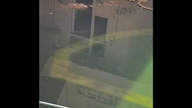 Шантаж от застройщика в Хургаде. Тиба голден Не отдают ключи покупателям. Примеры их сервиса смотреть онлайн