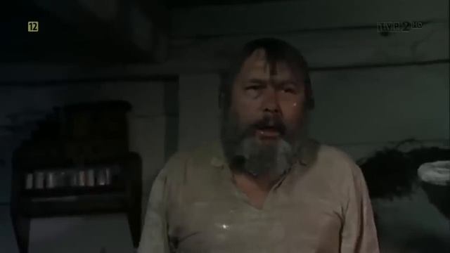 Знахарь 1982г HD