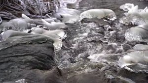 Сухая зима. Russian winter sunset / B ROLL