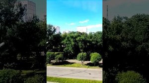 отзыв о миртазапин канон