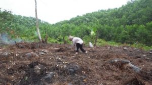 200 Day - The Single Mother was Chased Away by The Villagers - Building a Life of Isolation