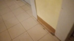 лифт NLM 2015 года.