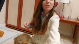 Что нужно купить для щенка. ПЕРВЫЕ ДНИ ШПИЦА ДОМА