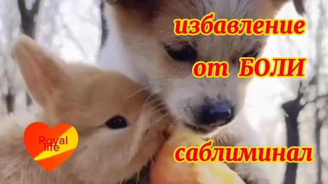 Избавься от любой боли с помощью позитивных , скрытых установок - аффирмаций - саблиминала