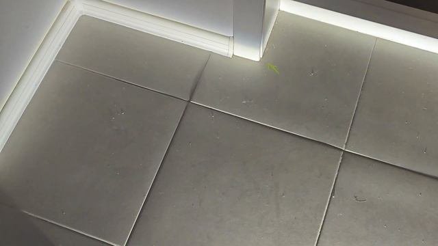 Приёмка двухкомнатной квартиры в ЖК «Зелёный парк» #приемка #приемкаквартиры