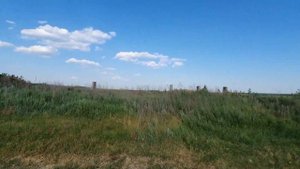 ПРОДАЖА! С/Х участок 3,46 га в Ростовской области за 277 т.р.