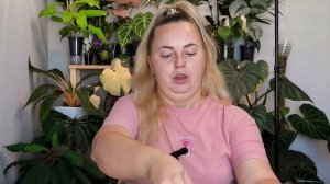 Алоказия Шкура Дракона💚Нарастила корни и листья в воде меньше чем за месяц😱Посадка в керамзит🫣