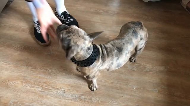 The Mac Family Vacation (Utah!!) смотреть онлайн