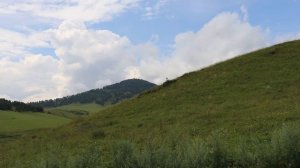 Варган. Алтай. Поток жизни