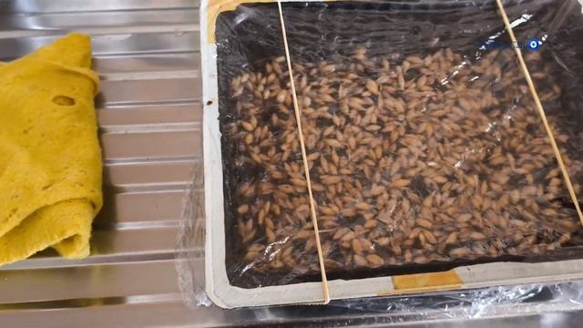 Будни турецкой жены/не знаю что снимать ,чем богаты😁/жизнь простой семьи в Турции смотреть онлайн